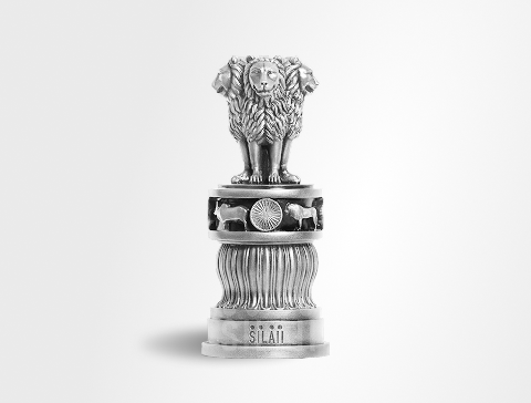 ashoka_pilla.png